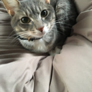 Keyko