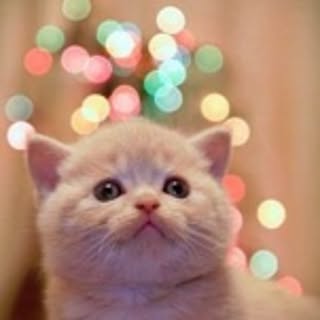 mignon