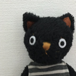 Ryuka-p