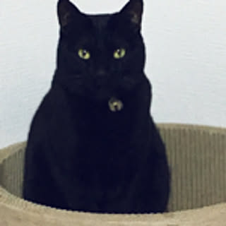 minato