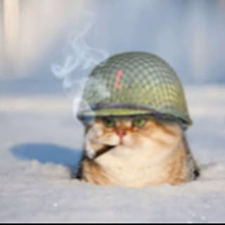 nya-izm