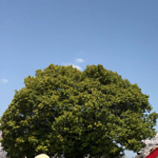 rina8