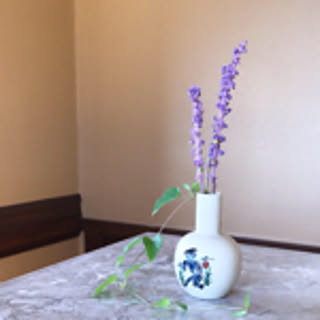 oyuki
