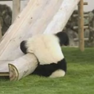 mamekko