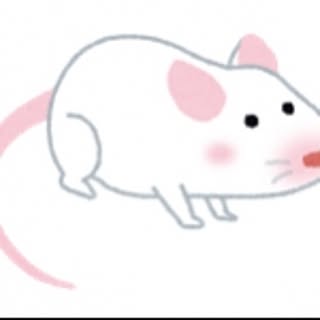 Hatsuka