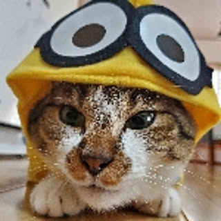 yu-ri