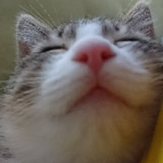 momon