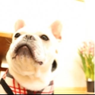 YUing