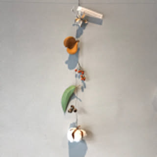 eco