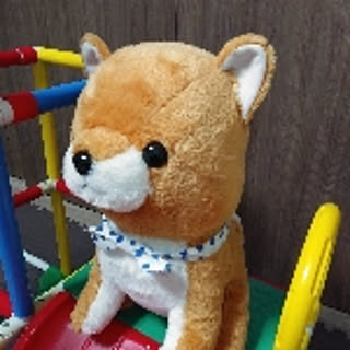 jpmum
