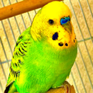mi