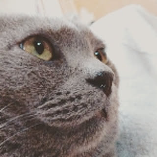 h-a-ri.mama