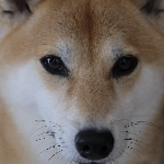 mchello