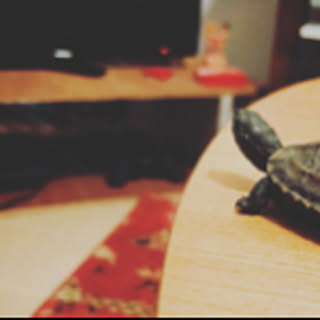 Ryosuke