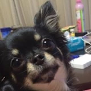 Ryo