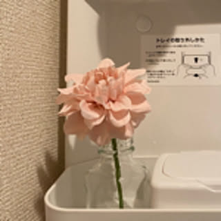 nono