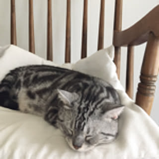 kao