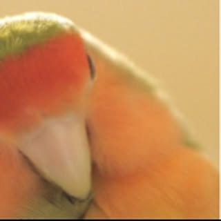 tunaaa