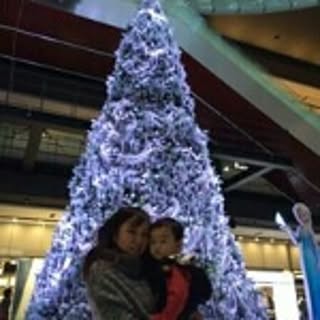 shiho