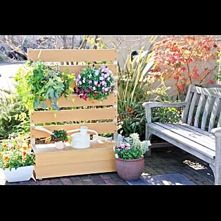 garden_life_sai