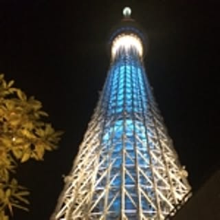 rio517