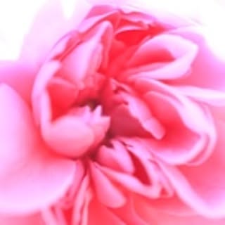 Yumi