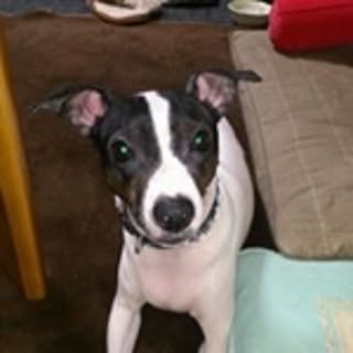 Keiko