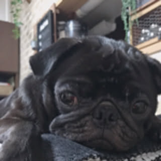 yukko