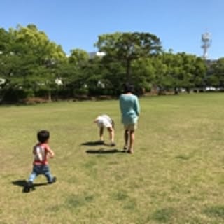 Say