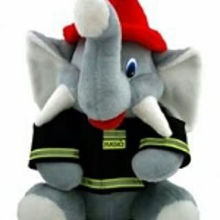 Ttgi