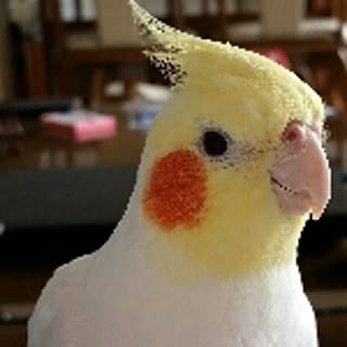 tetty