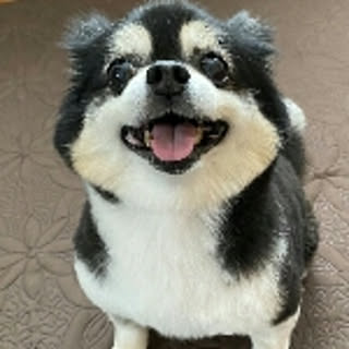 smile