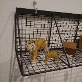 tigerdance