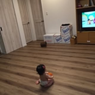 ryutalow