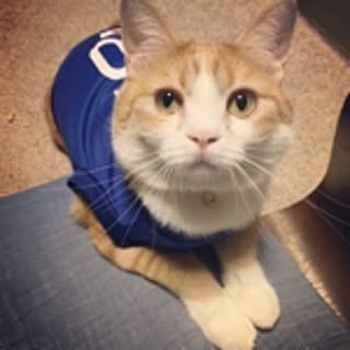 maru