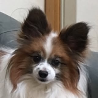 YUKA