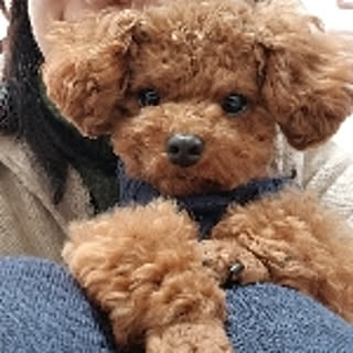 kei.kkky