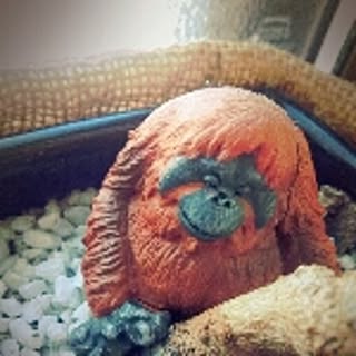 gizmo1002