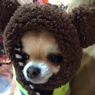 yuka