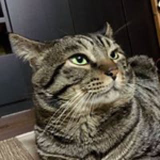 Miyuki