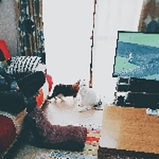maro