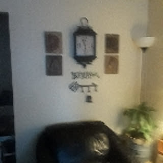 jensenbarbara8