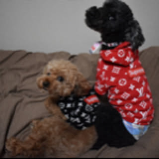 Ue