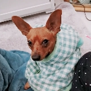 junmiko