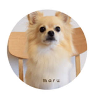 nonca