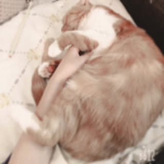 ayako.0310