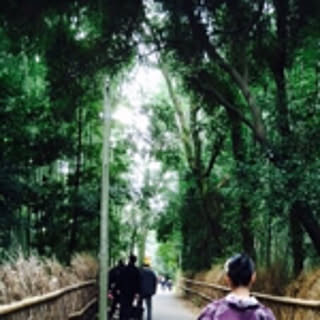 ruki_418728
