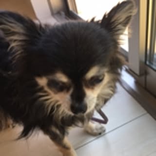 Yukio