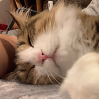 mpn
