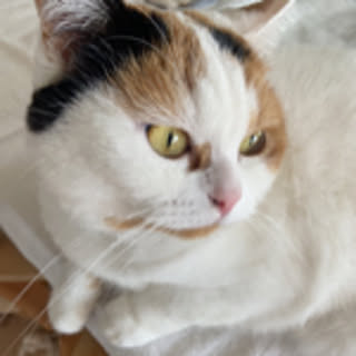 eri